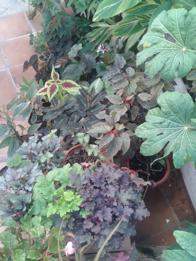 2012-10-14173058.jpg