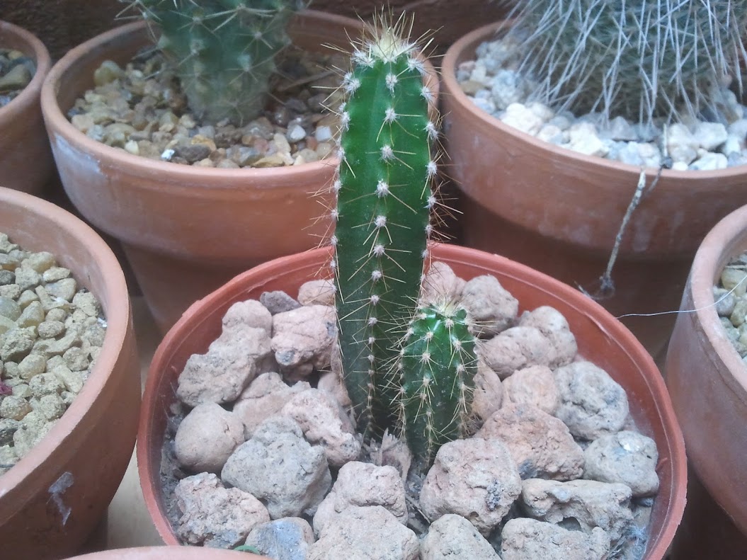 2012-11-10+13.54.06.jpg