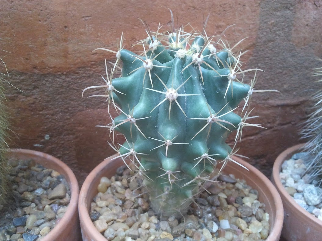 2012-11-10+13.54.15.jpg