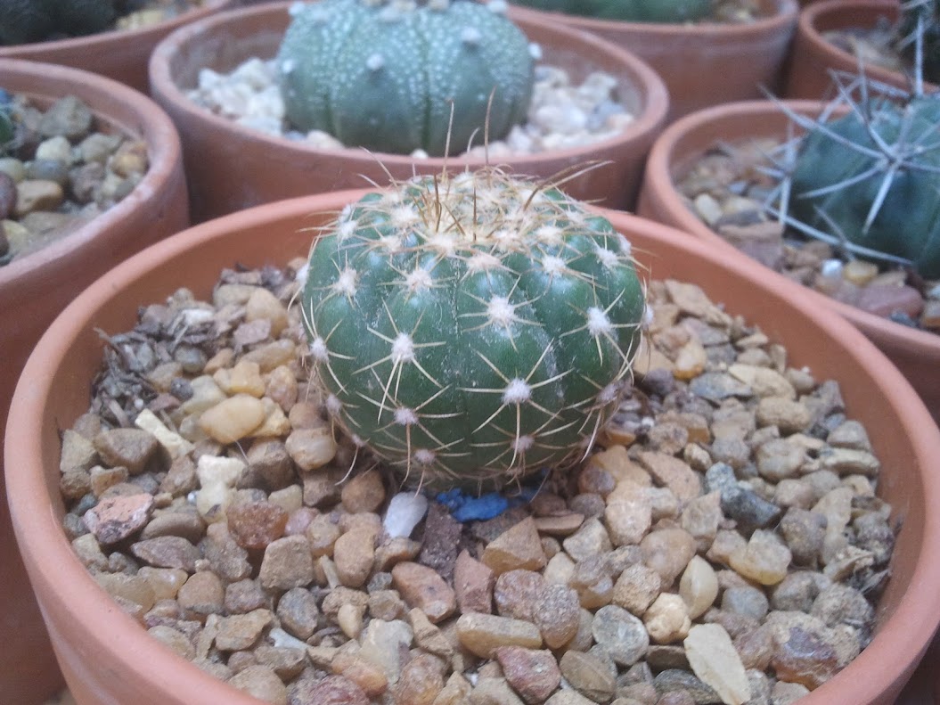 2012-11-10+13.54.41.jpg