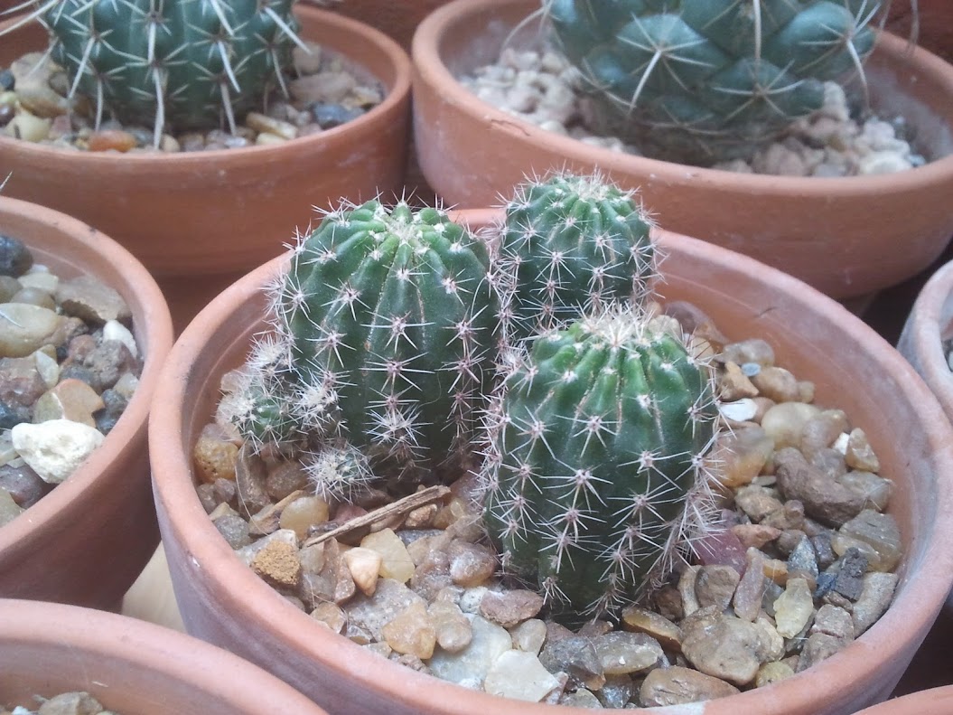 2012-11-10+13.54.48.jpg