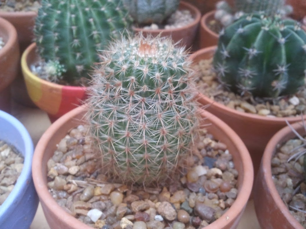 2012-11-10+13.54.59.jpg
