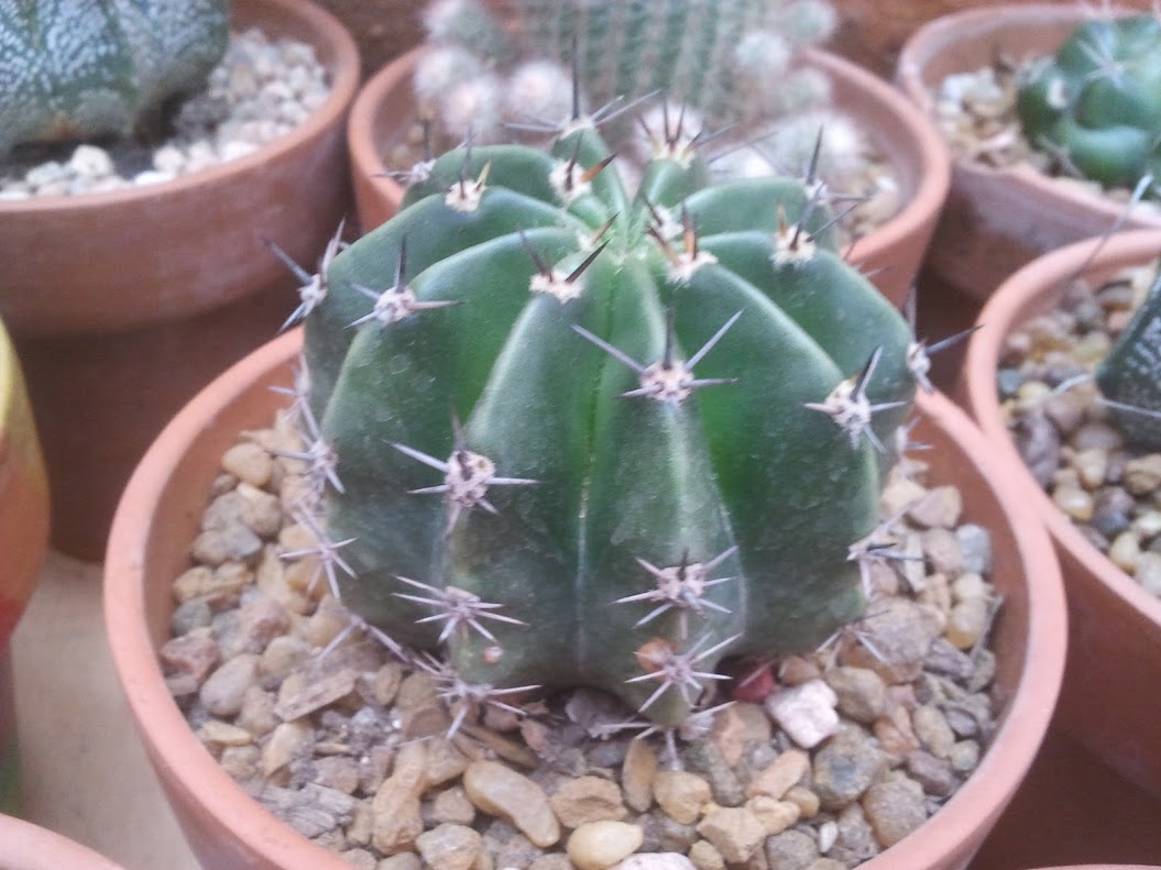 2012-11-10+13.55.08.jpg