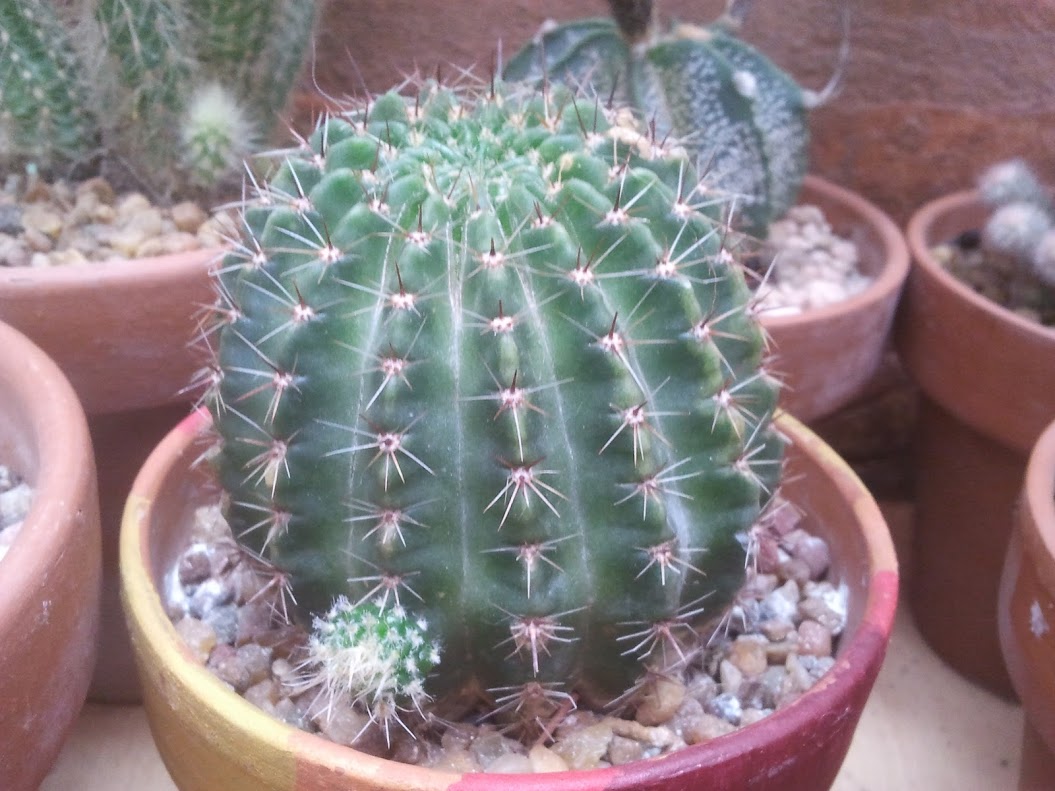 2012-11-10+13.55.18.jpg