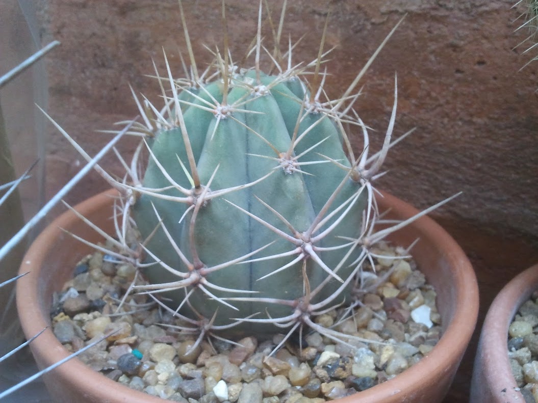2012-11-10+13.55.27.jpg