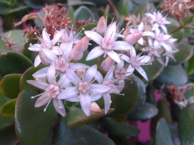 2012-11-17155704.jpg