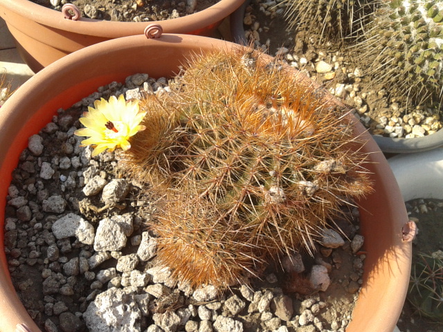 2012-12-08151648.jpg