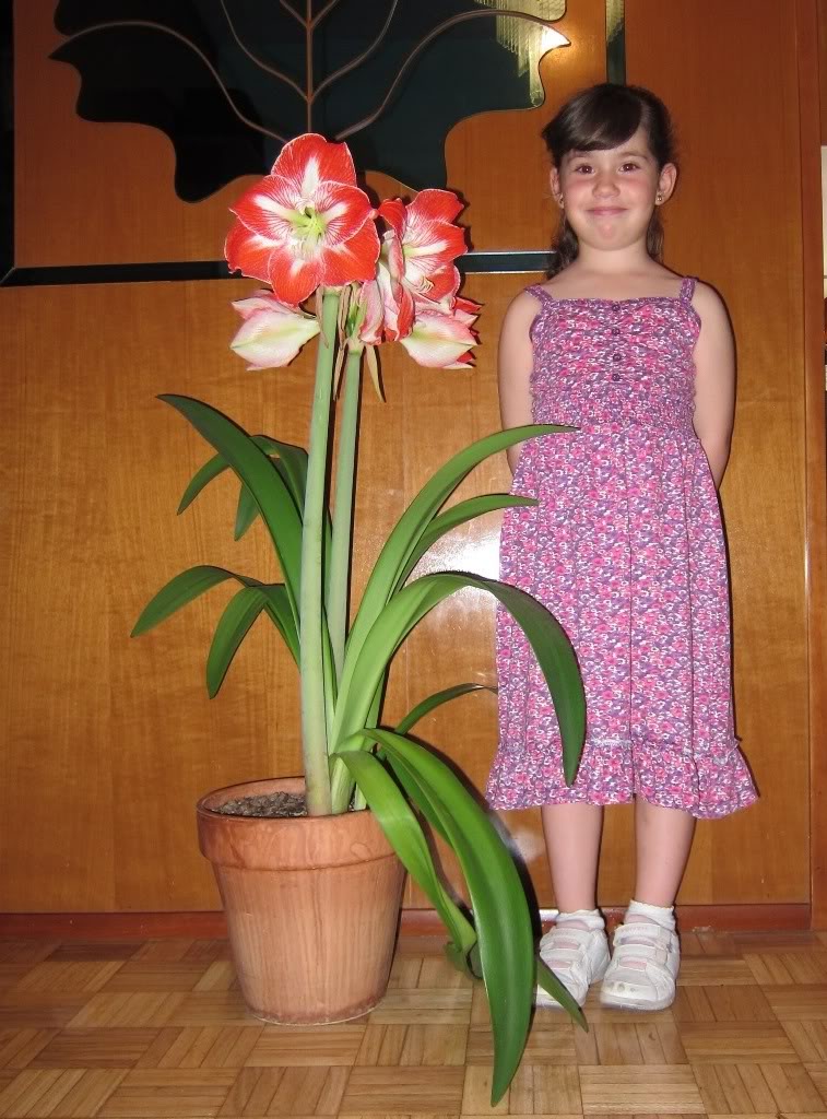 2012.jpg