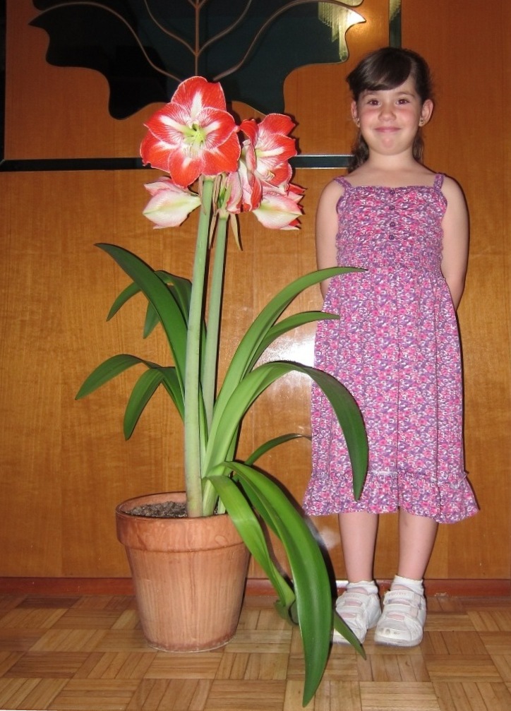 2012.jpg