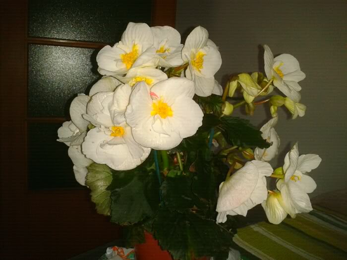 20120218181636.jpg