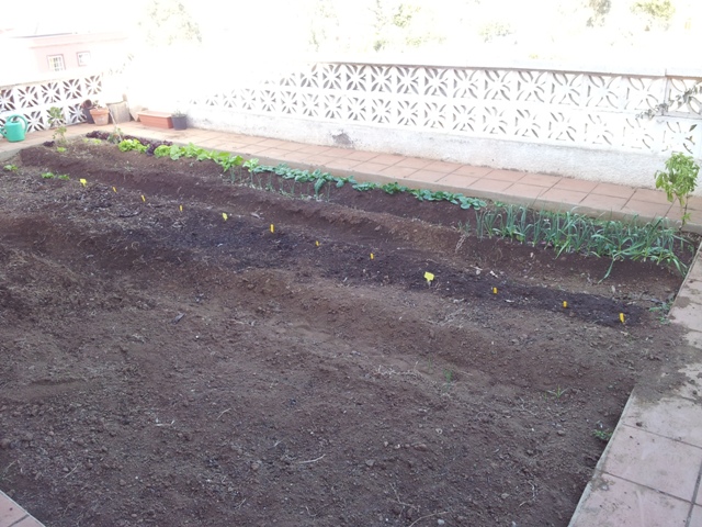 20120305_163743.jpg
