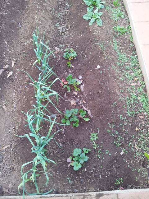 20120305_163801.jpg