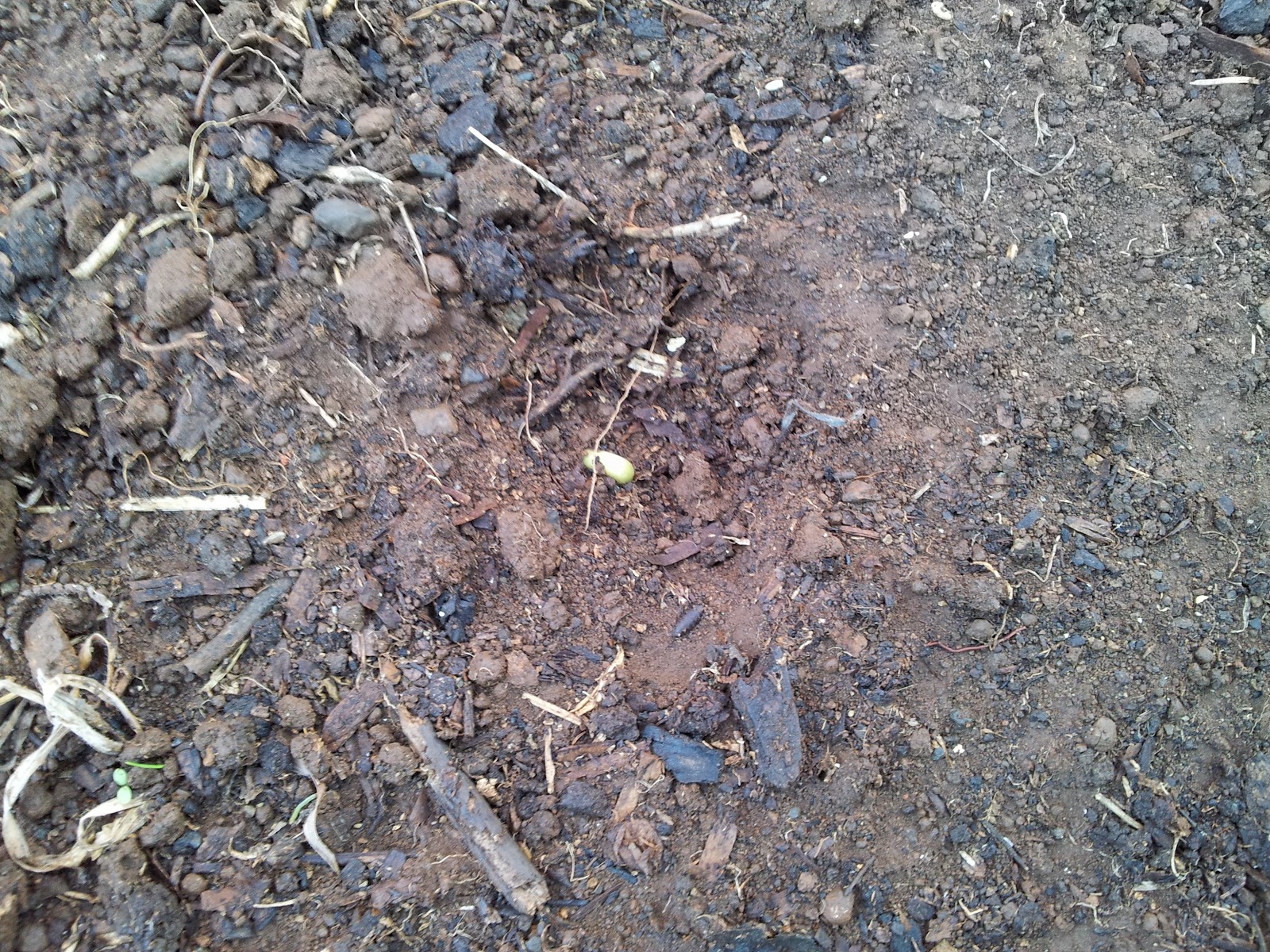 20120305_164006.jpg