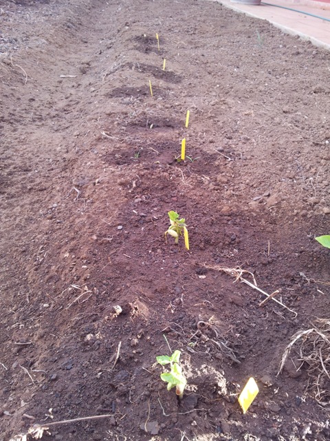 20120307_180800.jpg