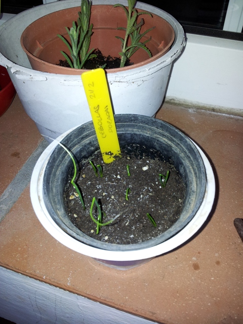 20120308_190456.jpg