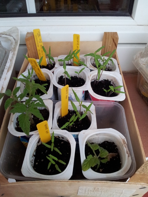 20120308_190509.jpg