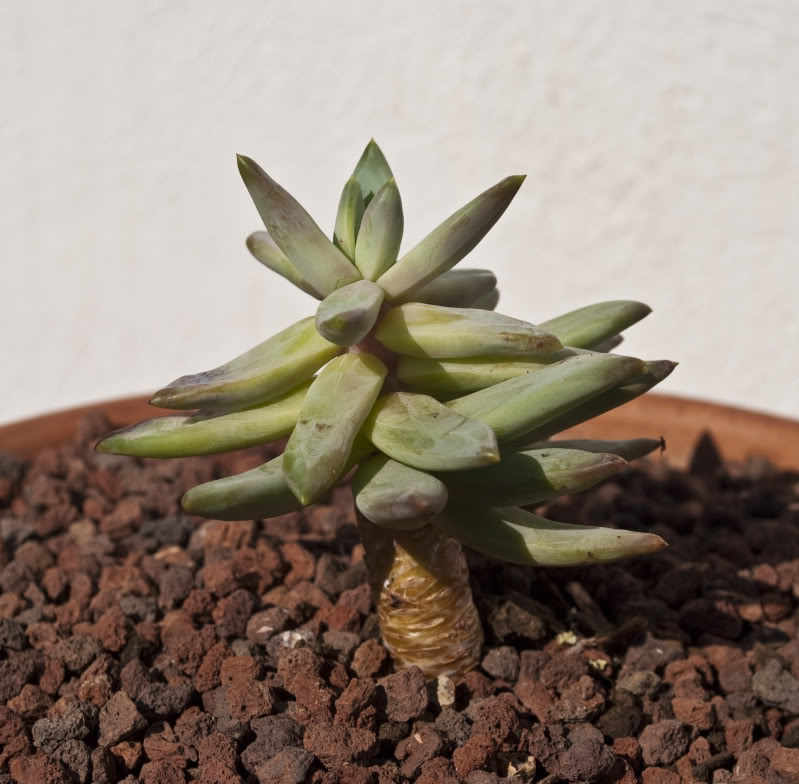 20120322_0041.jpg