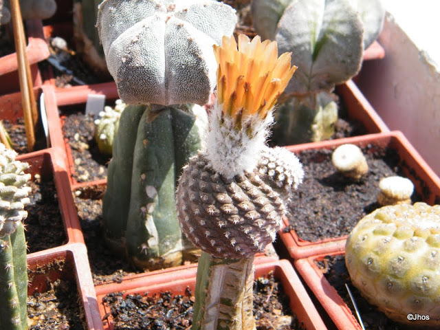 20120330%2520003.JPG