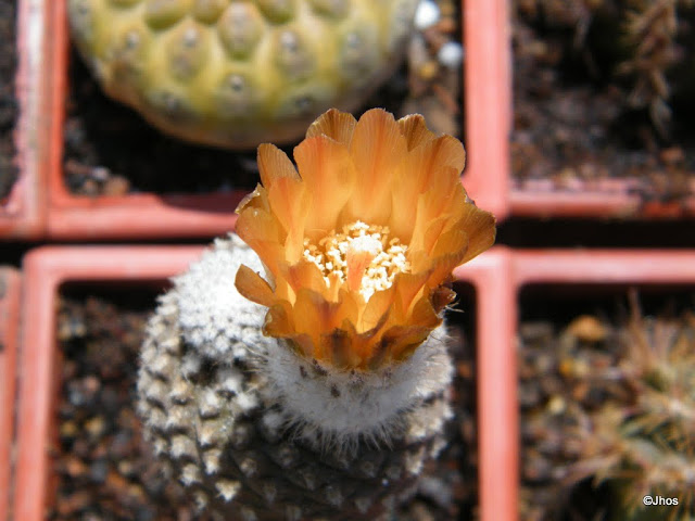 20120330%2520005.JPG