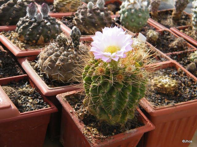 20120330%2520010.JPG
