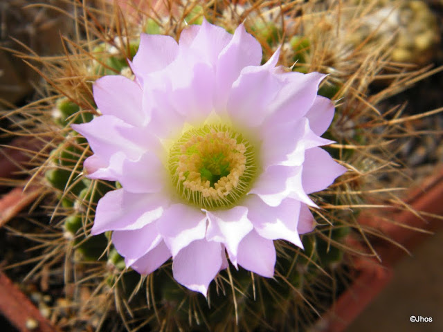 20120330%2520011.JPG