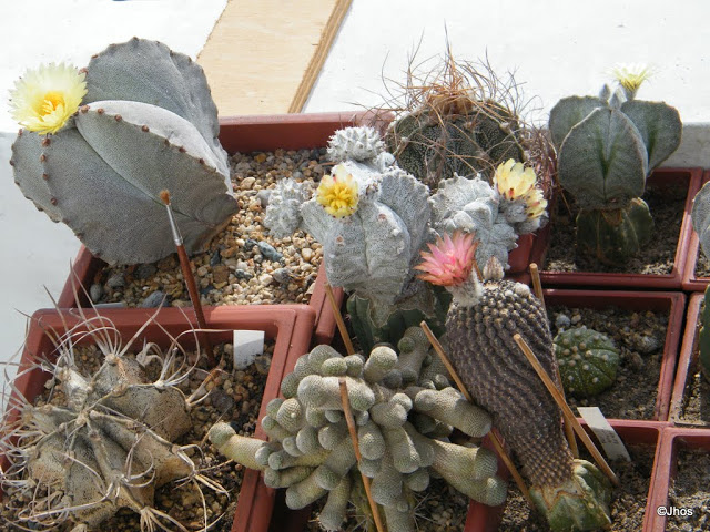 20120330%2520019.JPG