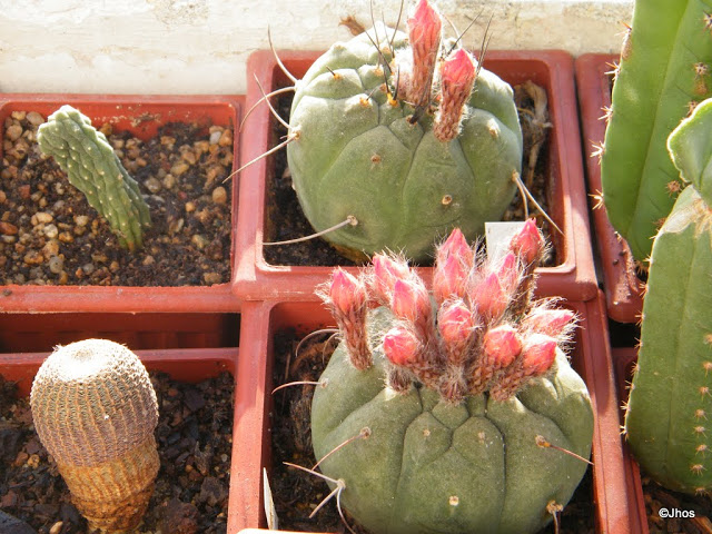20120330%2520033.JPG