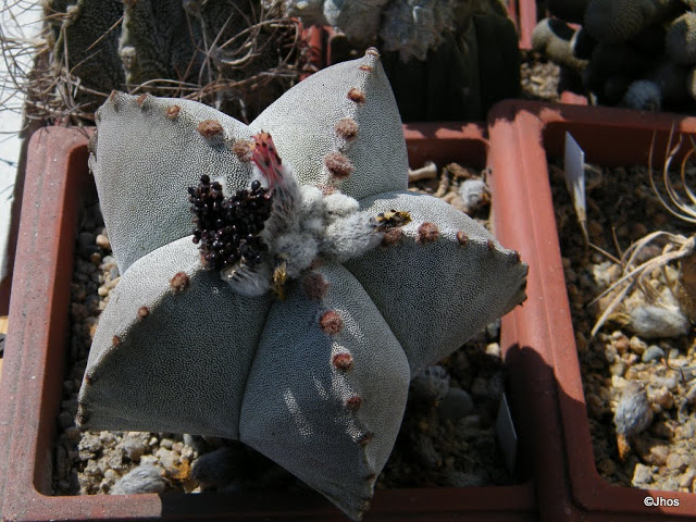 20120330%2520085.JPG
