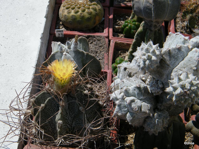 20120330%2520086.JPG