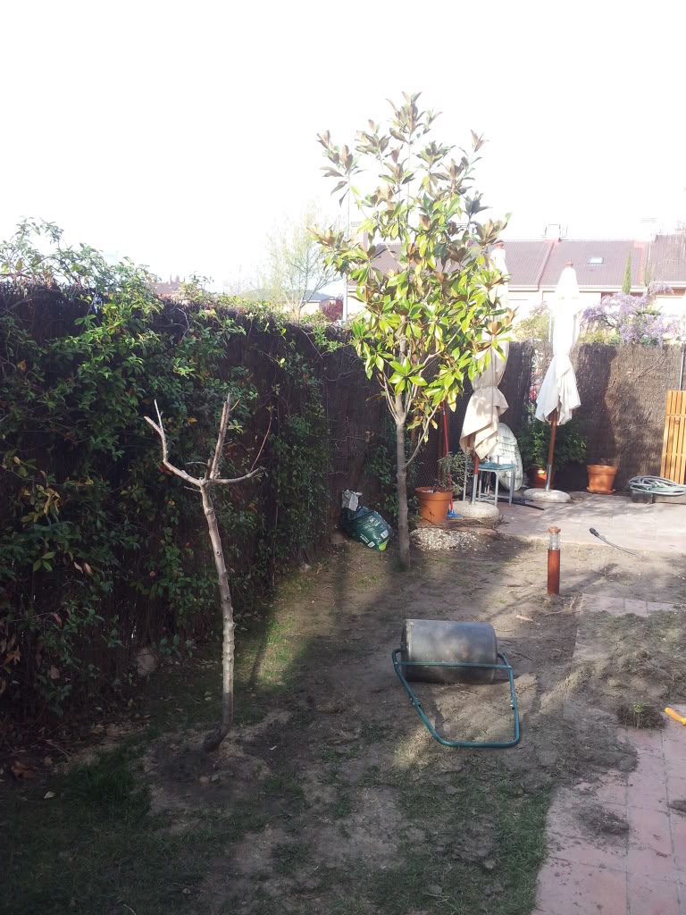 20120331_095147.jpg