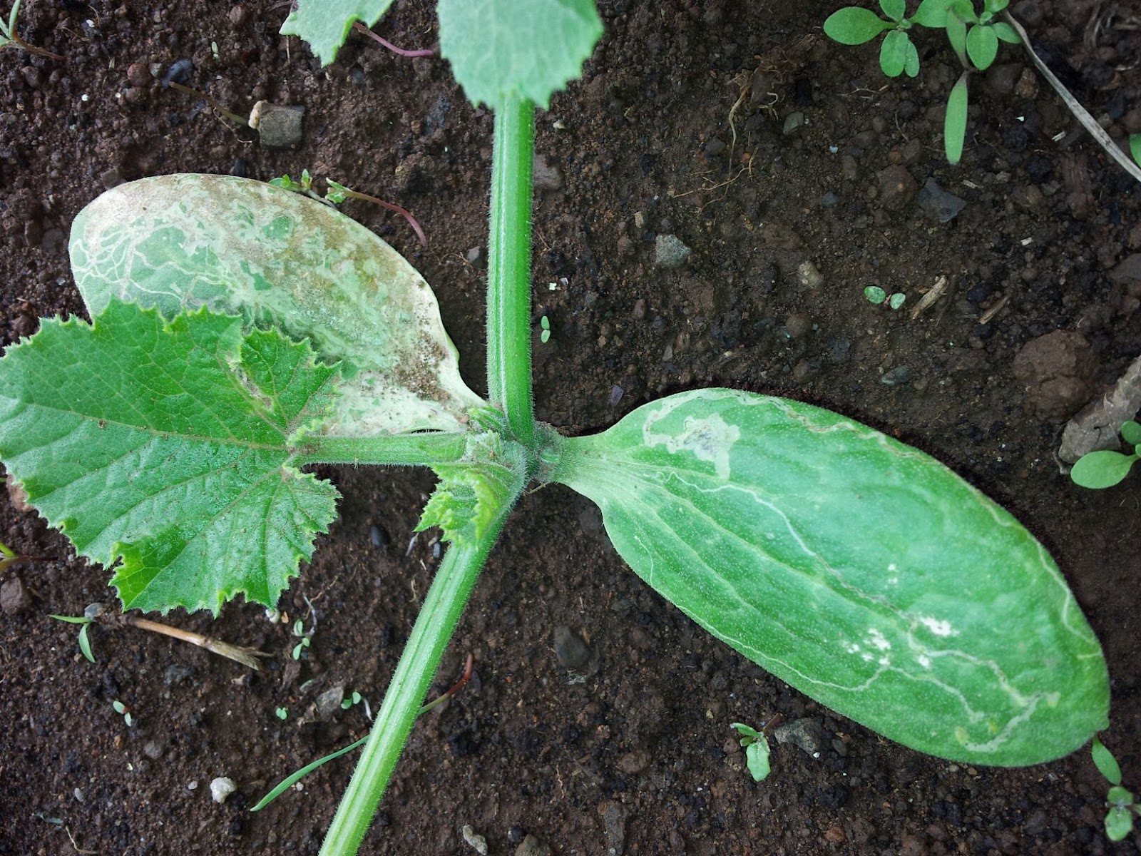 20120409_102238.jpg