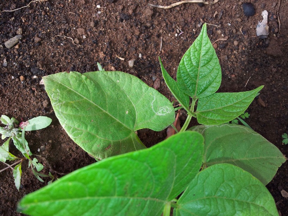 20120409_102430.jpg