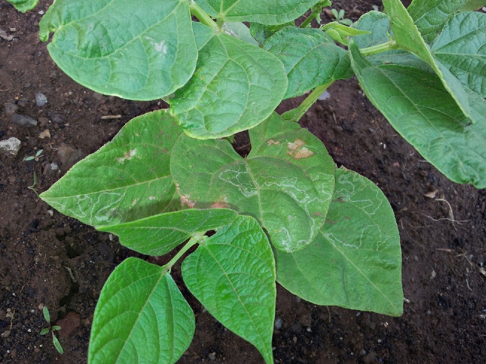 20120409_102439.jpg