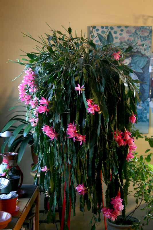 201205117602.jpg