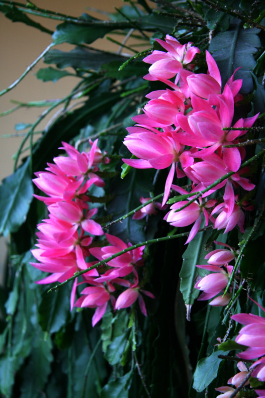 201205117603.jpg