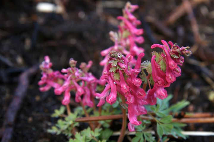 201205117609.jpg