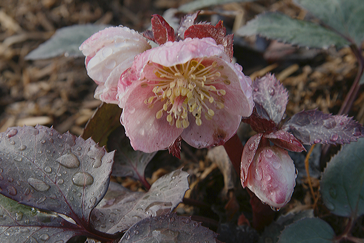 201205117613.jpg