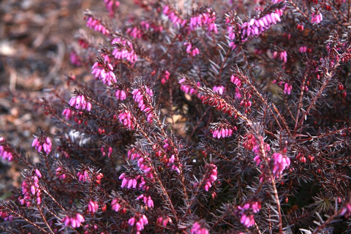 201205117617.jpg