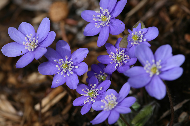 201205127626.jpg