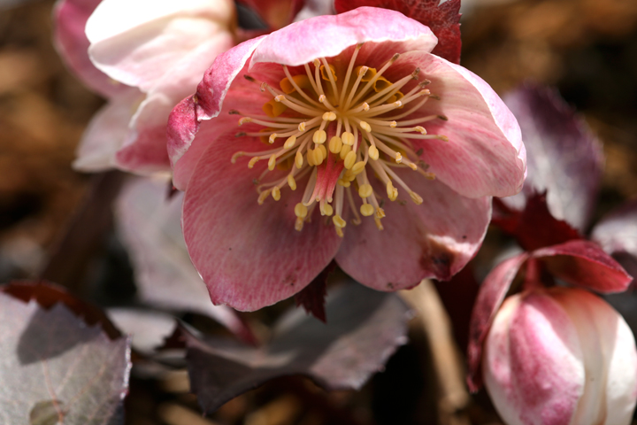 201205127628.jpg