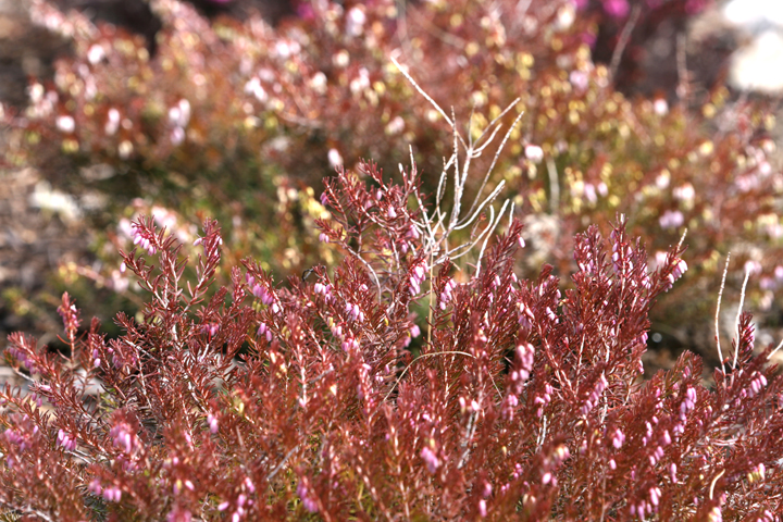 201205127632.jpg