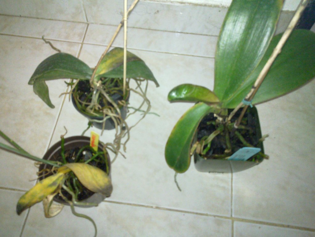 20120512_001.jpg