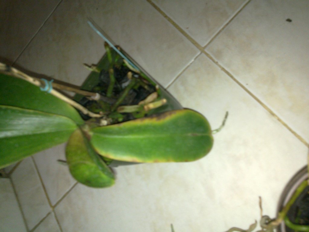 20120512_002.jpg
