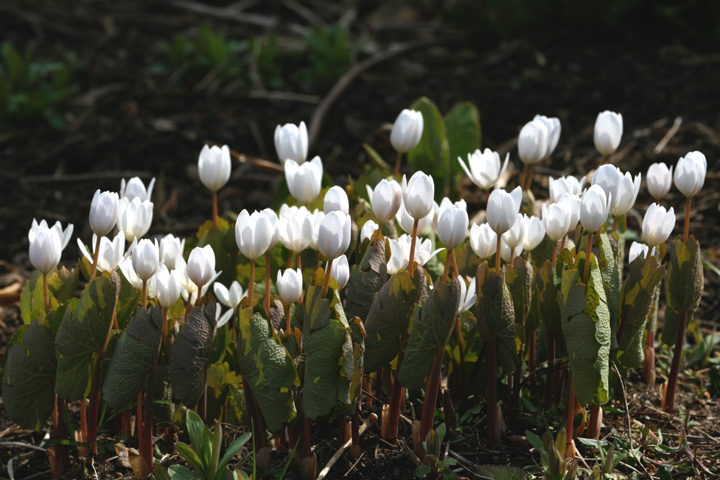 201205157651.jpg