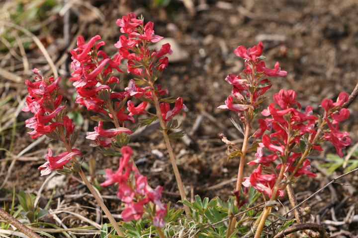 201205157658.jpg