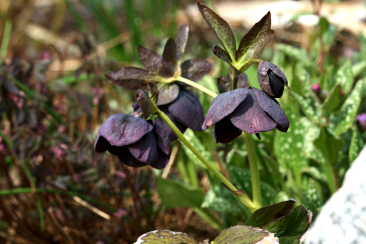 201205157659.jpg