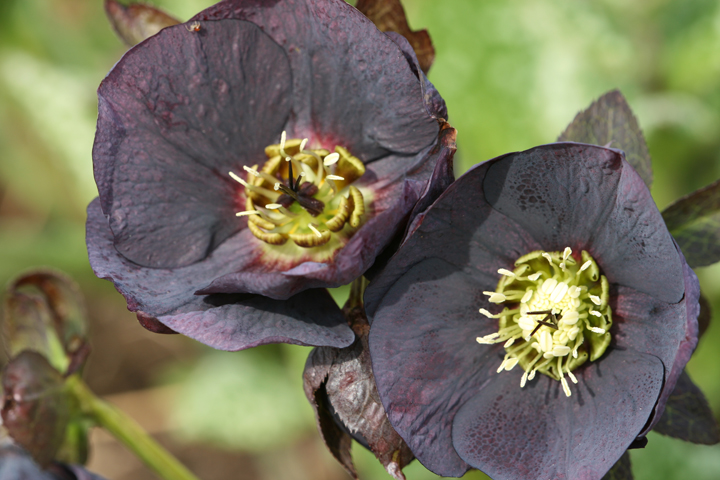201205157660.jpg