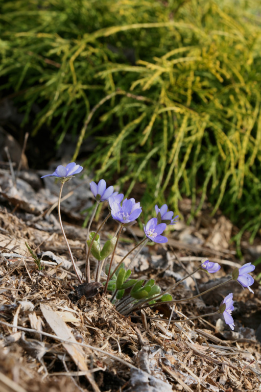 201205157679.jpg