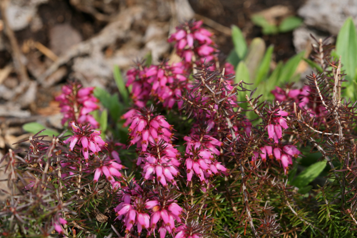 201205157680.jpg