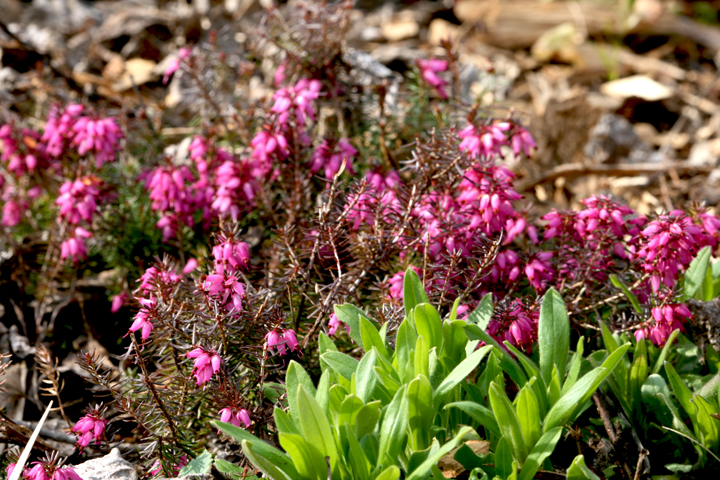 201205157681.jpg